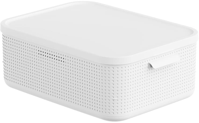 rotho Lisora Aufbewahrungsbox mit Deckel M