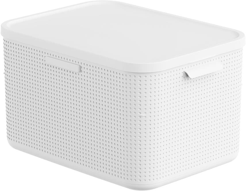 rotho Lisora Aufbewahrungsbox mit Deckel L