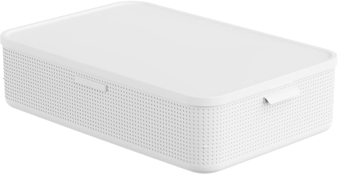 rotho Lisora Aufbewahrungsbox mit Deckel XL