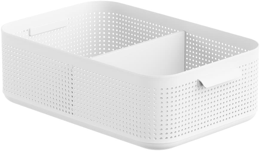 rotho Lisora Box L