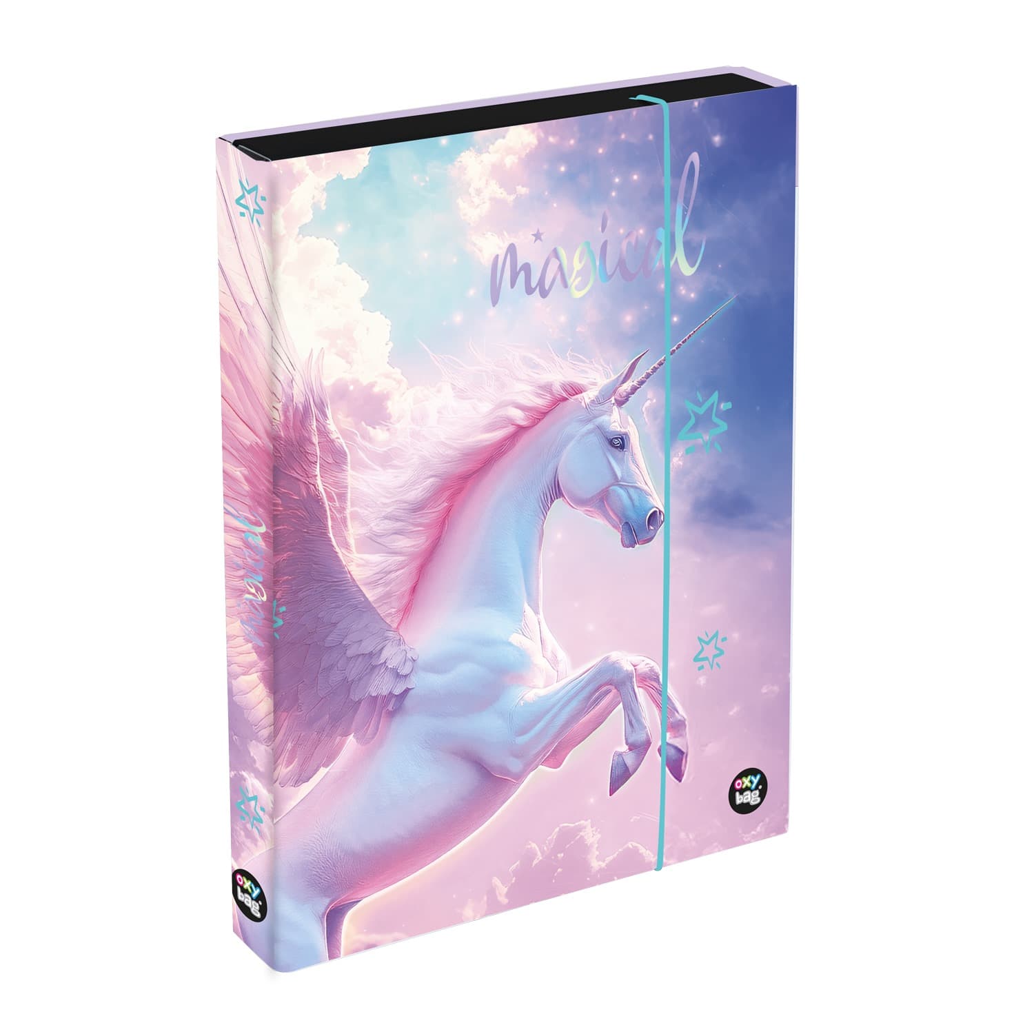 oxybag® Heftbox A4 Jumbo PEGASUS