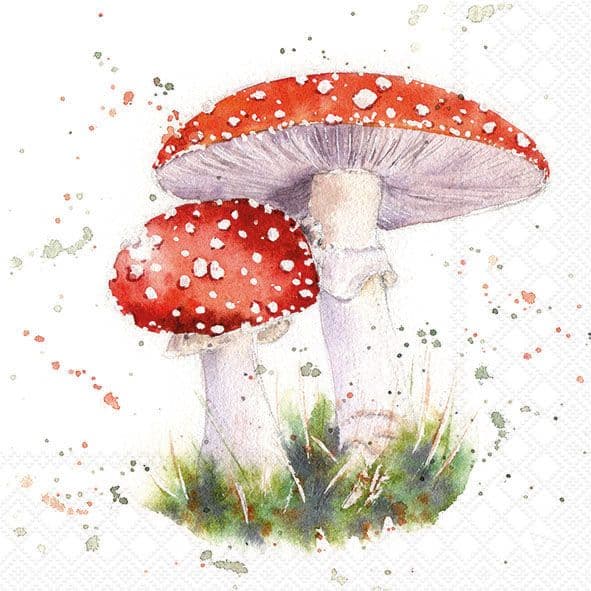 Bella Casa Servietten Painted Fly Agaric 33x33cm