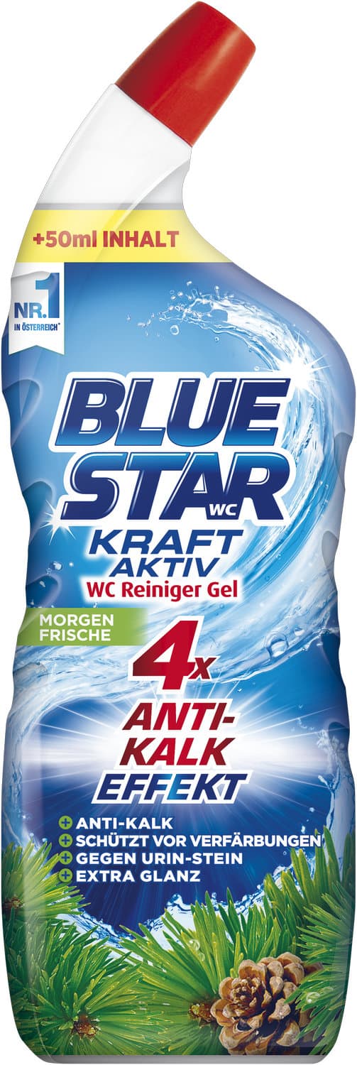 Blue Star WC-Reiniger Kraft Aktiv Gel Morgenfrische