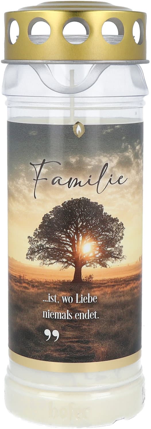 Hofer Premium 7 Tage Motivlicht Familie