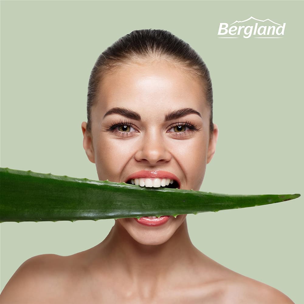 aloe vera barbadensis pflanze Buy 'Large Aloe Vera Plants - Aloe barbadensis' Care and Growing Guide main image 1