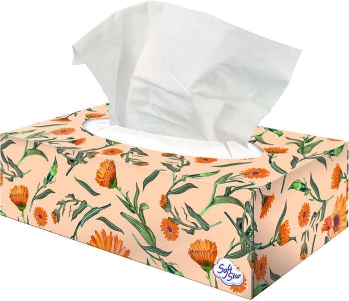 SoftStar Taschentücher Box Die Samtweichen Balsam 4-lagig 80 Stück online bestellen