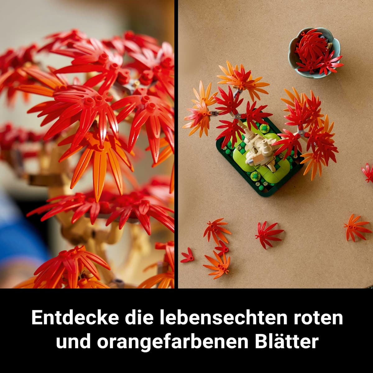 LEGO Botanicals Japanischer Roter Ahorn  Bonsai-Baum Set 10348 online  bestellen | MLLER